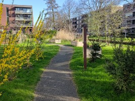 Afbeelding 3 groter tonen