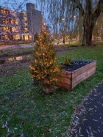 Afbeelding 7 groter tonen