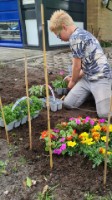 Afbeelding 1 groter tonen
