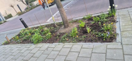 Afbeelding 1 groter tonen