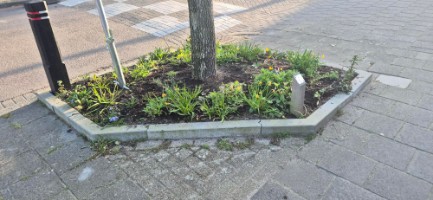 Afbeelding 2 groter tonen