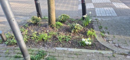 Afbeelding 3 groter tonen