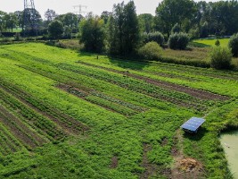 Afbeelding 3 groter tonen