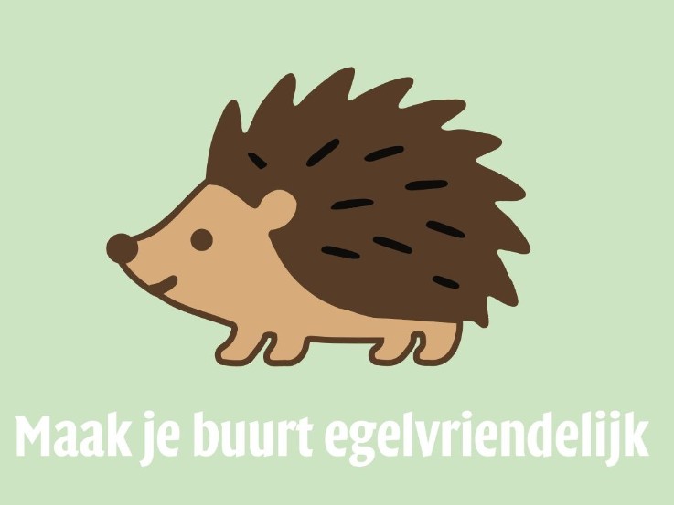 Maak je buurt egelvriendelijk, start in je eigen tuin!